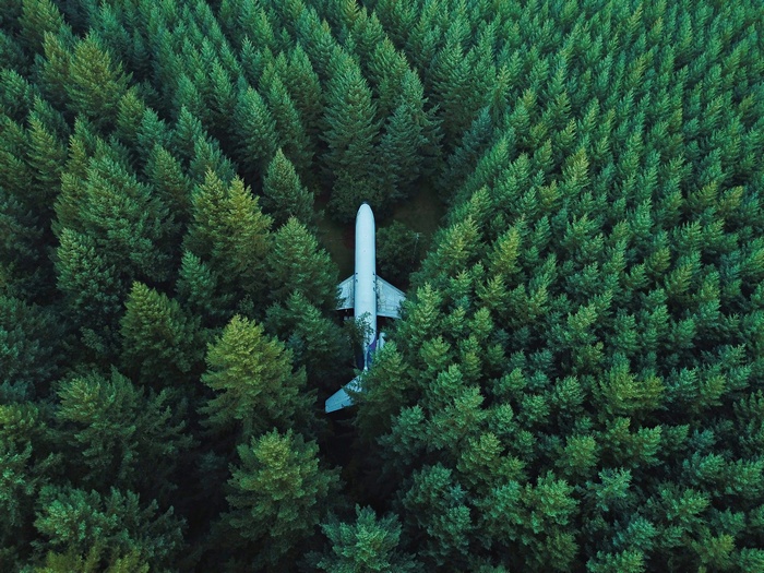 Airplane crashed in a dense forest, aerial view