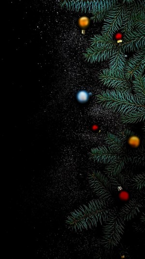 Christmas tree branches with ornaments on black background