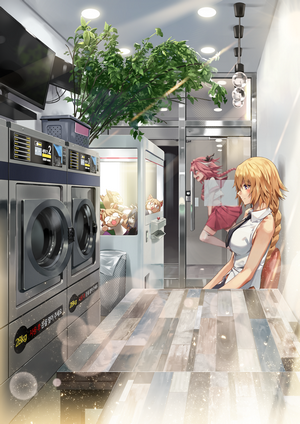 Jeanne d'Arc and Astolfo from Fate/Apocrypha in a laundry