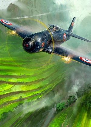 Grumman F8F Bearcat flying over terraced fields