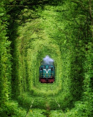 Tunnel of Love, Ukraine with Diesel Locomotive