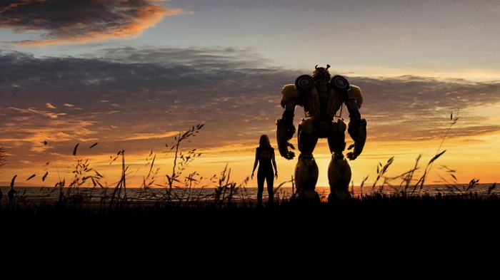 Bumblebee and a girl at sunset