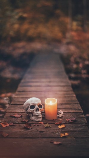 Skull and lit candle on a wooden bridge with autumn leaves