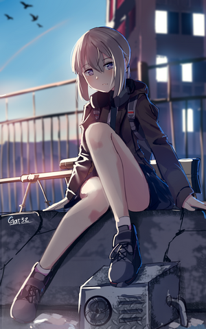 Anime girl sitting on a rooftop at sunset