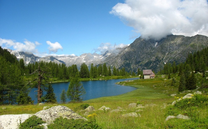 Mountain lake with a small cabin and pine trees