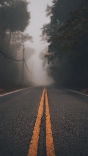 Road disappearing into mist with trees