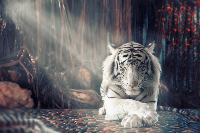 White tiger in a surreal forest with sunlight
