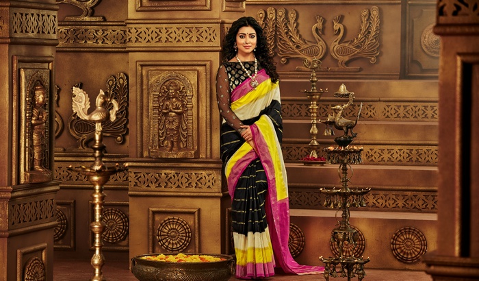 Shriya Saran in a traditional Indian saree