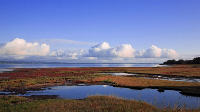 Marshland with calm water and blue sky