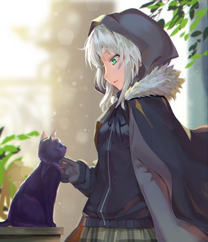 Gray from Lord El-Melloi II Case Files with a black cat