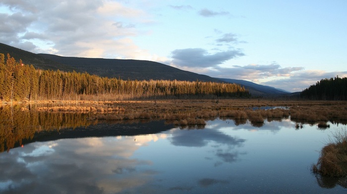 Lake reflection of trees and mountains at sunset
