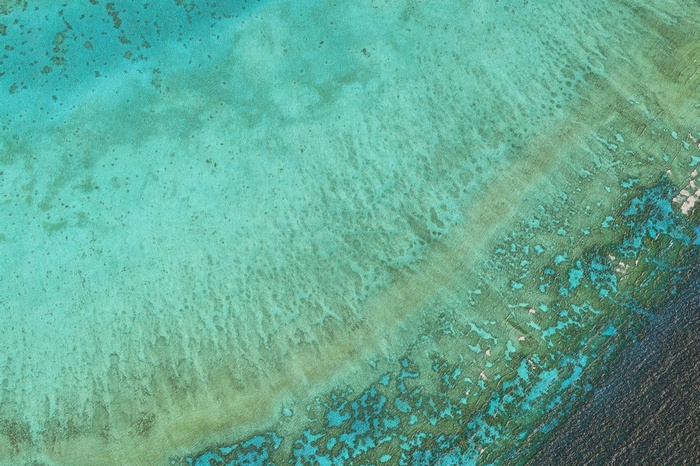 Aerial view of coral reef and ocean