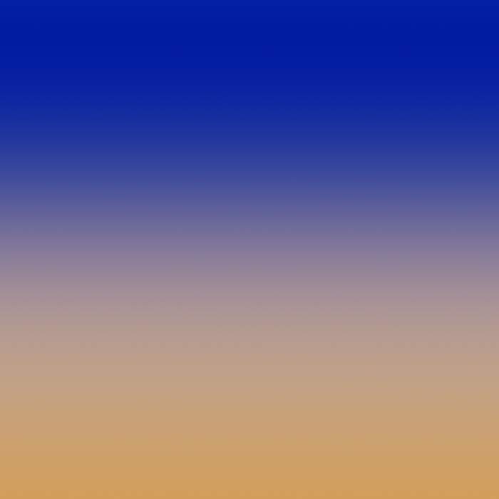 Samsung Galaxy Tab S4 Gradient