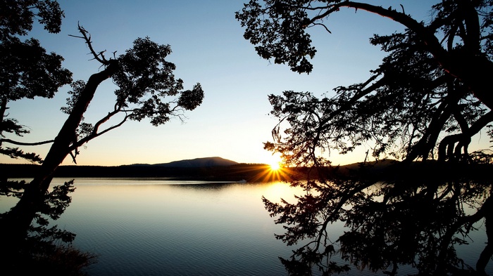 Sunset over a calm lake with silhouetted trees