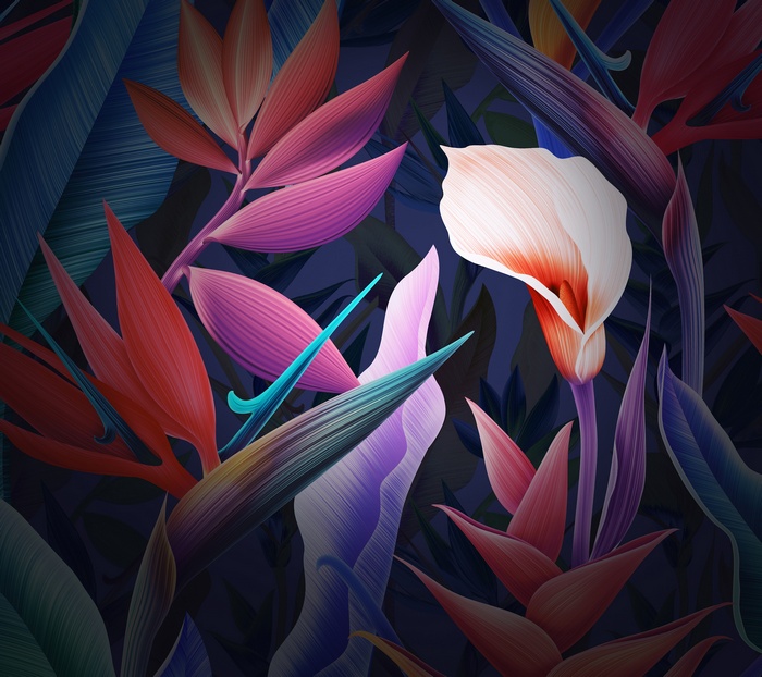 Flowers, Huawei Mate 10, Leaves, Stock, Colorful