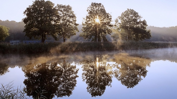 Trees reflected in misty lake at sunrise