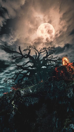 The Witcher 3: Wild Hunt - Night scene with moon and fire