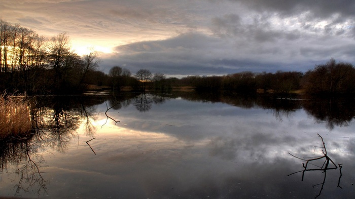 Lake reflection at sunset with bare trees