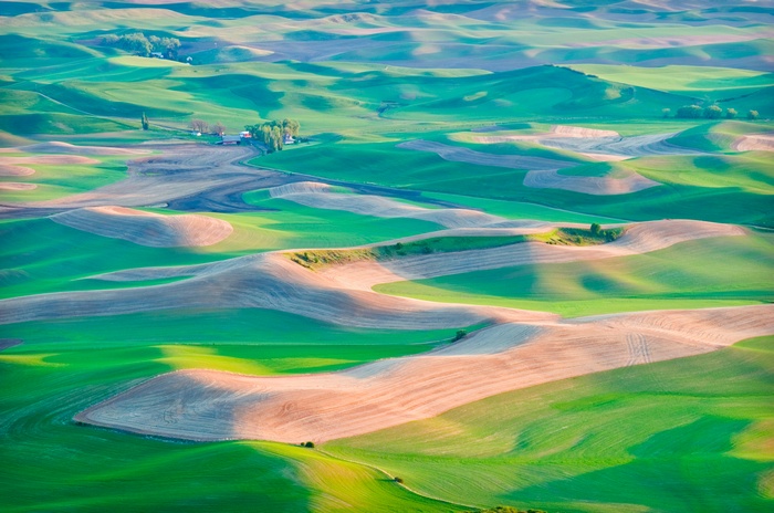 Rolling Hills Landscape with Farm