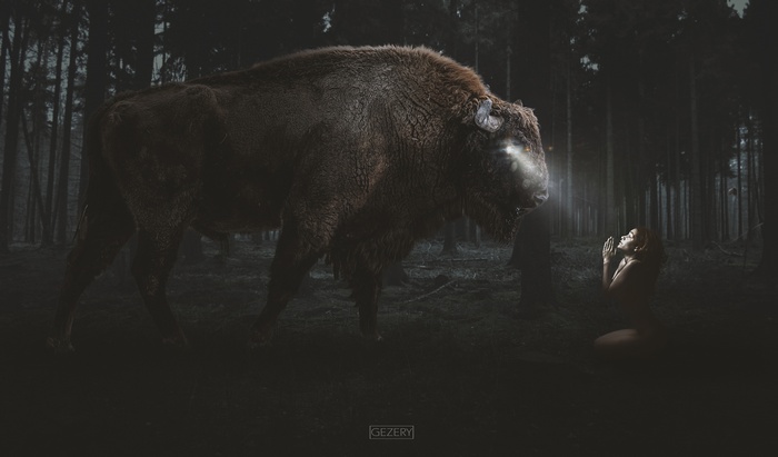 Buffalo and girl in dark forest 4K