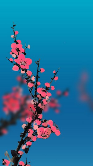 Pink plum blossoms on a blue background