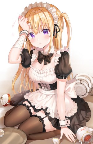 Anime Girl in Maid Outfit by Tokkyu