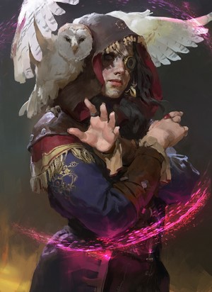 Wizard with owl and magic