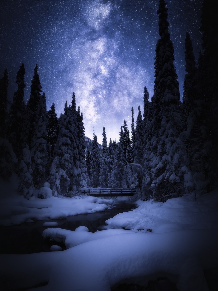 Snowy forest with Milky Way in Banff National Park