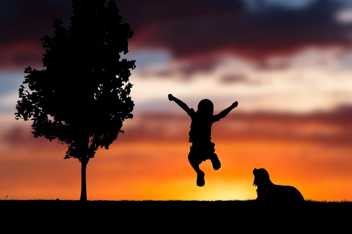 Silhouette of a child jumping with a dog at sunset