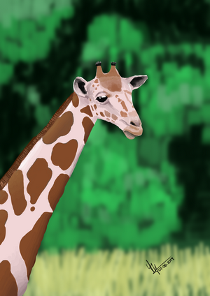 A giraffe in a natural landscape