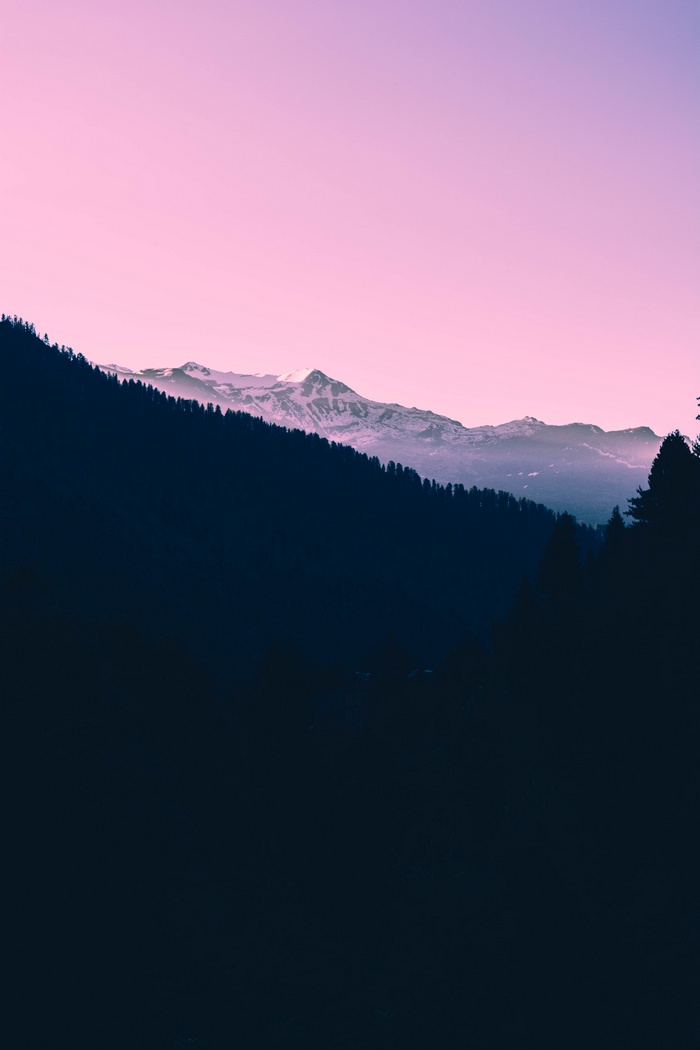 Mountains and Forest at Twilight