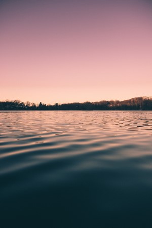Water and Trees at Sunset