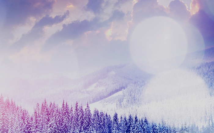 Snowy Mountains with Pine Trees and Lens Flare