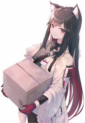 Texas from Arknights holding a box
