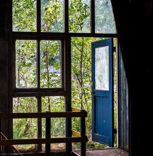 Abandoned factory with open blue door and overgrown garden