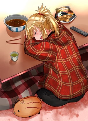 Mordred from Fate/Apocrypha sleeping by a table