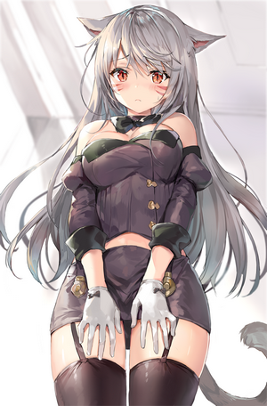 Anime girl with cat ears and gray hair