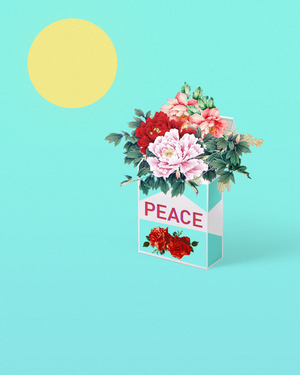 Cigarette pack with flowers and sun