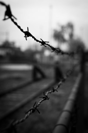 Monochrome barbed wire close-up