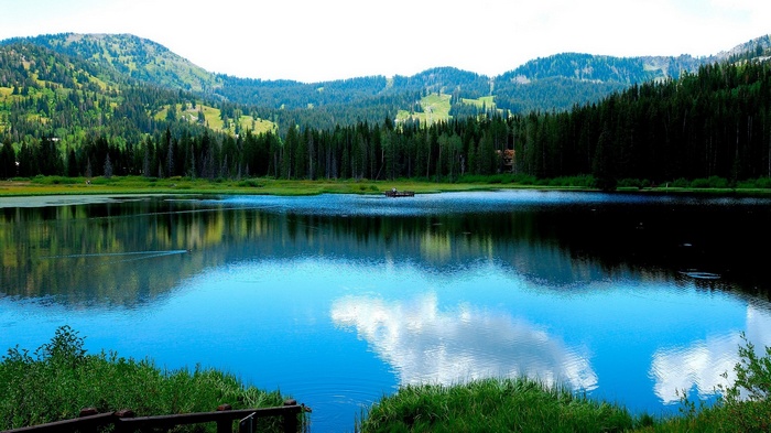 Lake reflecting mountains and pine forest