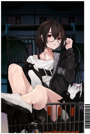 Anime girl with glasses and penguins in a shopping cart