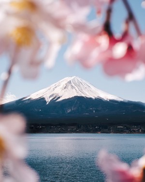 Mount Fuji with Cherry Blossoms and Lake