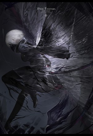 Anime girl with black wings, Pixiv Fantasia Last Saga