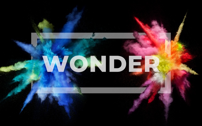 Wonder 4K