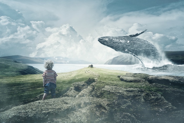 Boy watches a whale jump out of the sea