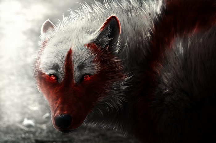 Arctic wolf, Digital art