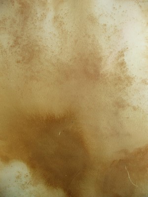 Beige textured surface with brown splotches