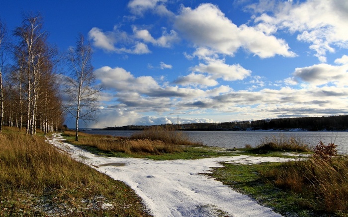 Snowy path by a river with birch trees