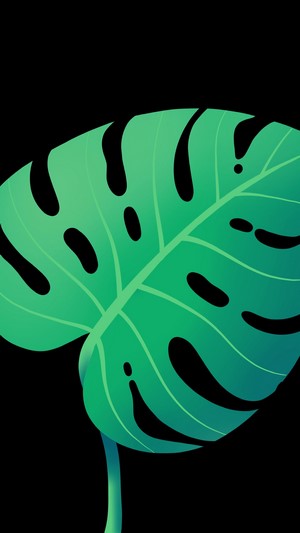 Minimalist digital art of monstera leaves