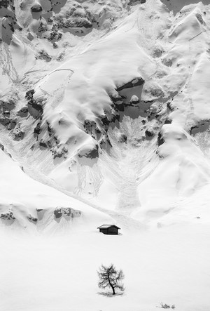 Monochrome winter landscape with cabin and tree